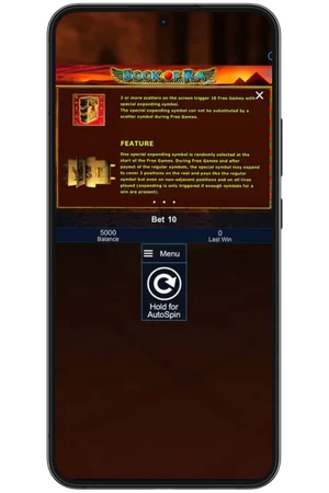 Book of Ra bonus feature screen with free spins description