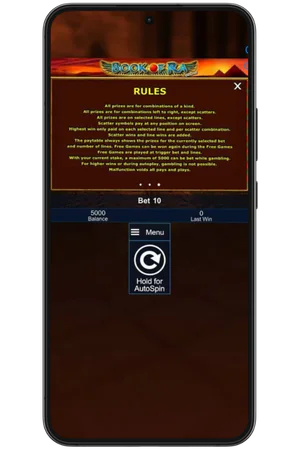 Book of Ra game rules and information screen